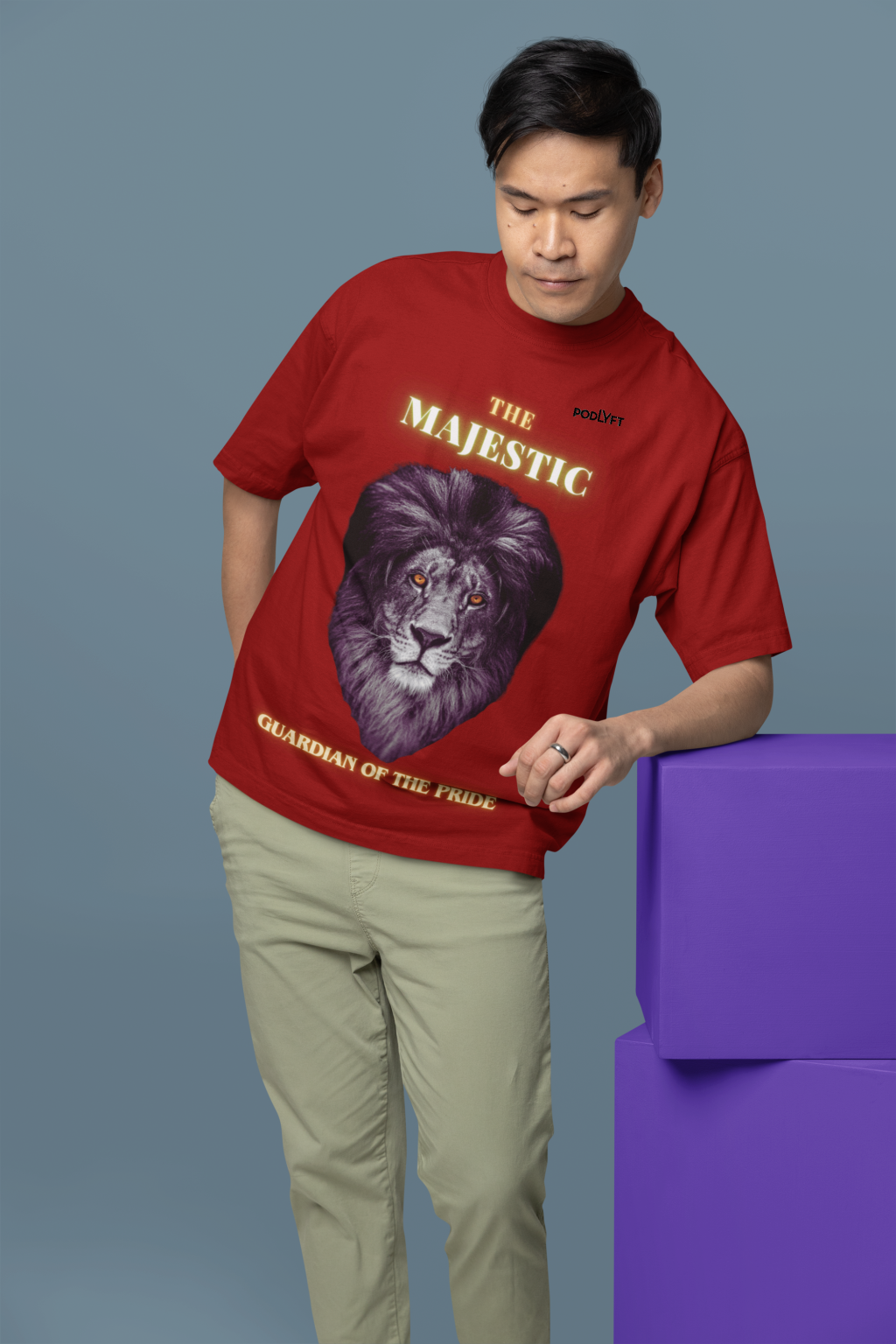 Majestic Lion Head T-Shirt in Maroon, size S from PodLyft.