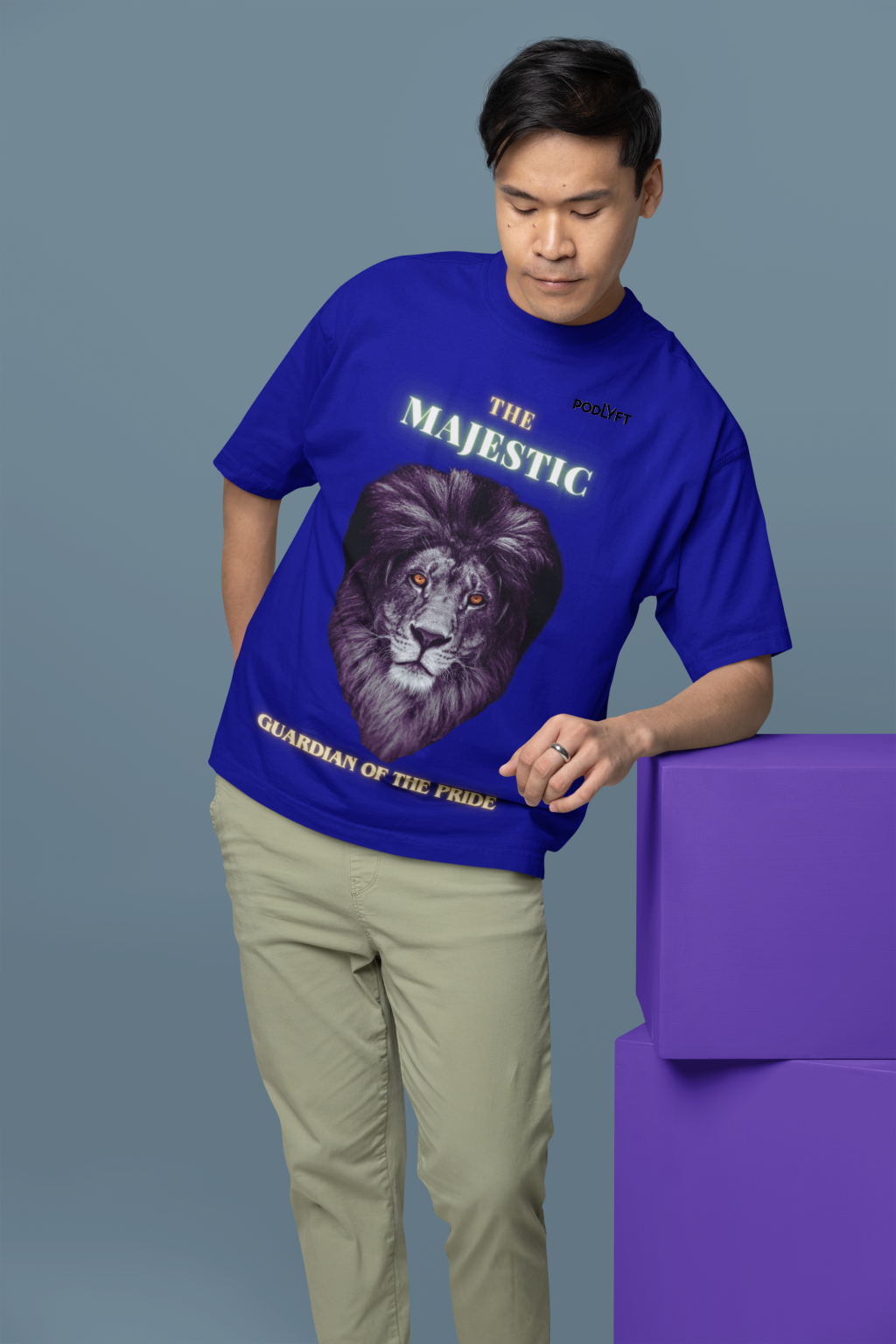 Majestic Lion Head T-Shirt in Navy Blue, size S from PodLyft.